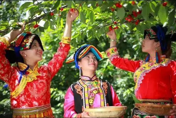 1651041537283856.png image.png