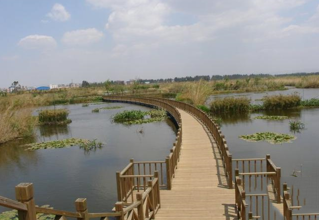 1666252746547383.png image.png