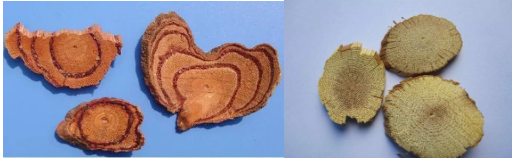 1673966252195690.png image.png