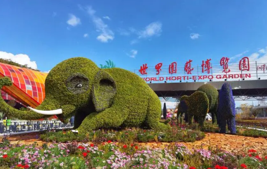 1689259170162466.png image.png